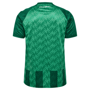 Werder Bremen home 24/25