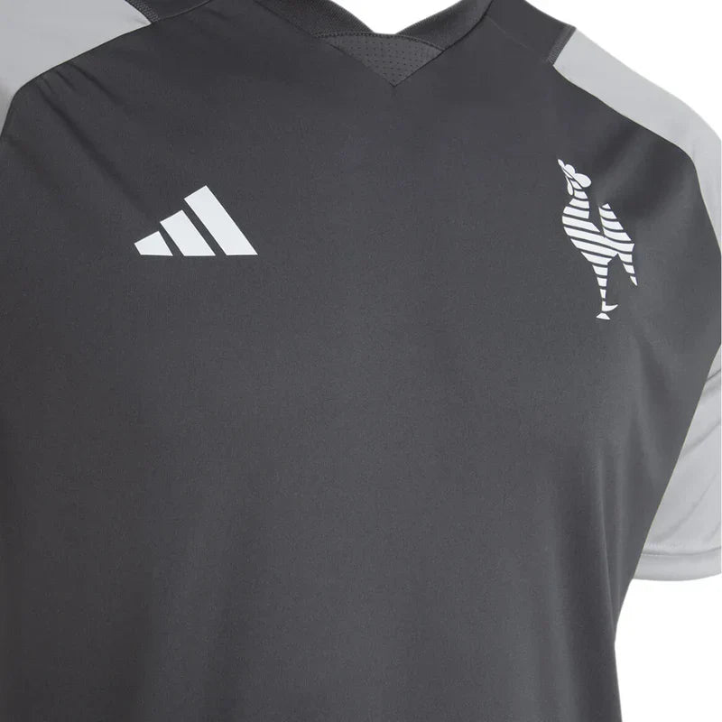 Atlético Mineiro Training Committee 2024