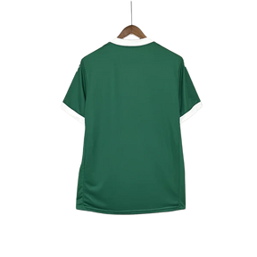 Camiseta Palmeiras 25/26 I de Local - Versión Aficionado