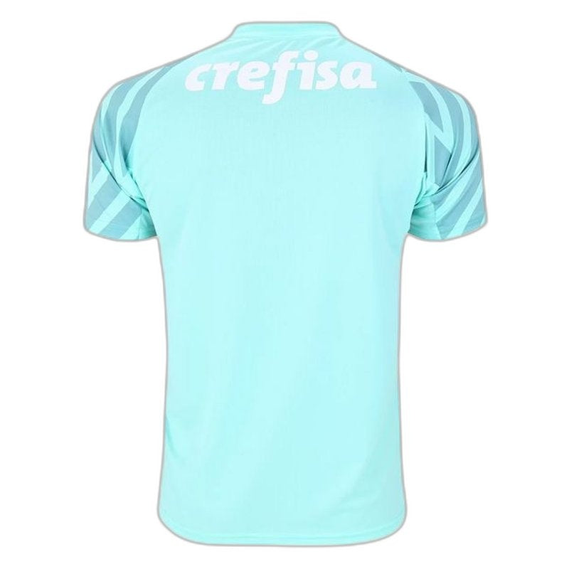 palmeiras-24-25-goalkeeper-ii-away-jersey-fan-version-2